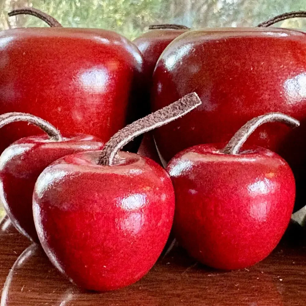 Vintage Wooden Apple Decor Set of 9 Red Rustic